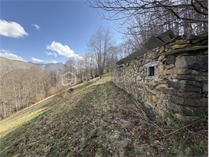 terrain agricole à la vente -   65710  CAMPAN, surface 15701 m2 vente terrain agricole - UBI466121690